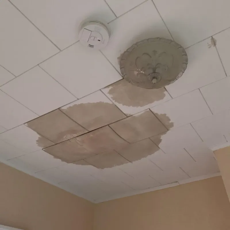 Ceiling Water Damage Repair in Richboro, PA